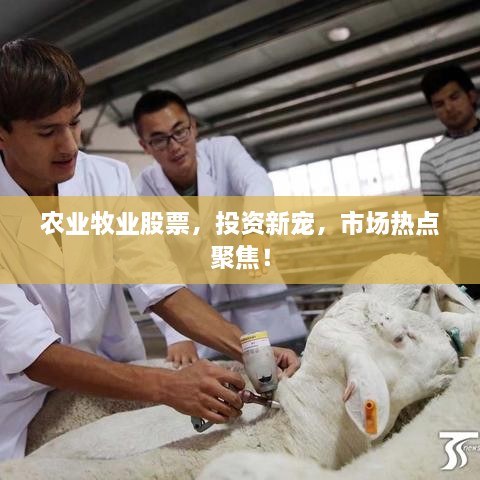 農(nóng)業(yè)牧業(yè)股票，投資新寵，市場熱點聚焦！