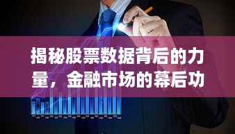 揭秘股票數據背后的力量，金融市場的幕后功臣