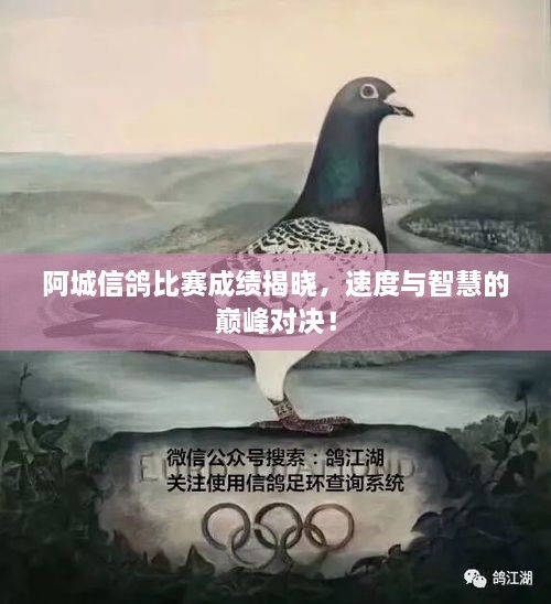 阿城信鴿比賽成績(jī)揭曉，速度與智慧的巔峰對(duì)決！