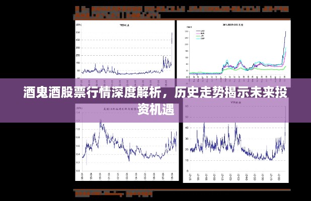 酒鬼酒股票行情深度解析，歷史走勢揭示未來投資機遇