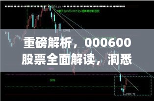 重磅解析，000600股票全面解讀，洞悉投資趨勢！
