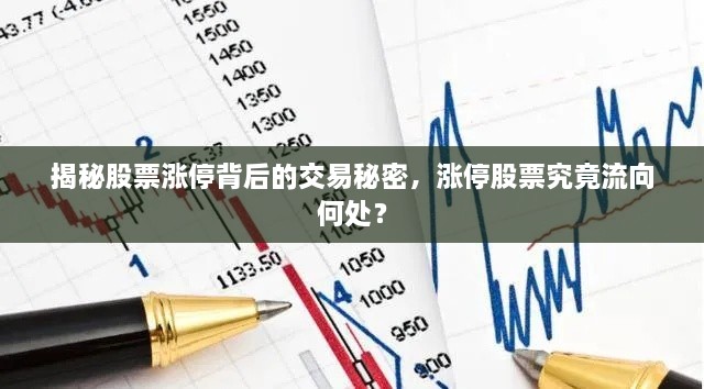 揭秘股票漲停背后的交易秘密，漲停股票究竟流向何處？