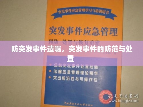 防突發(fā)事件遺囑，突發(fā)事件的防范與處置 