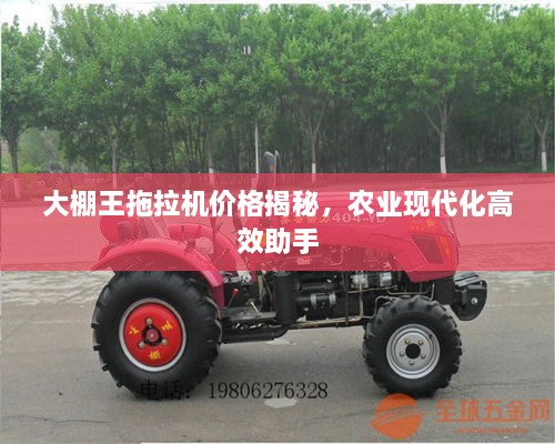 大棚王拖拉機(jī)價(jià)格揭秘，農(nóng)業(yè)現(xiàn)代化高效助手