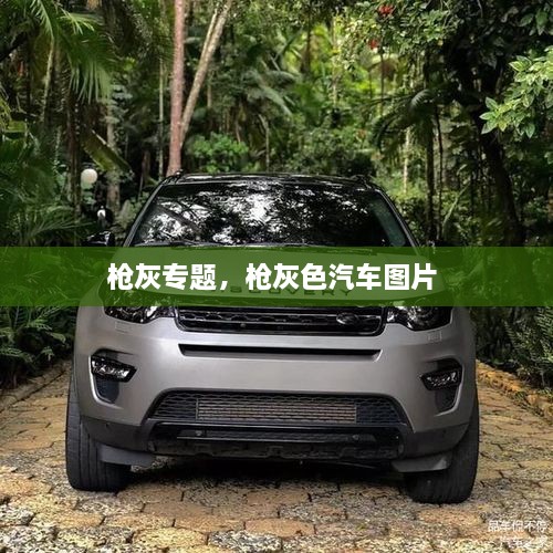 槍灰專題，槍灰色汽車圖片 