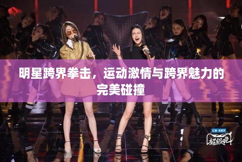 明星跨界拳擊，運(yùn)動(dòng)激情與跨界魅力的完美碰撞