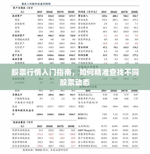 股票行情入門指南，如何精準(zhǔn)查找不同股票動(dòng)態(tài)