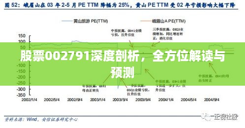 股票002791深度剖析，全方位解讀與預(yù)測