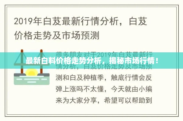 最新白料價格走勢分析，揭秘市場行情！