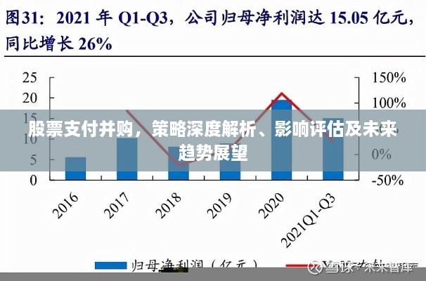 股票支付并購，策略深度解析、影響評估及未來趨勢展望