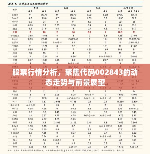股票行情分析，聚焦代碼002843的動態(tài)走勢與前景展望