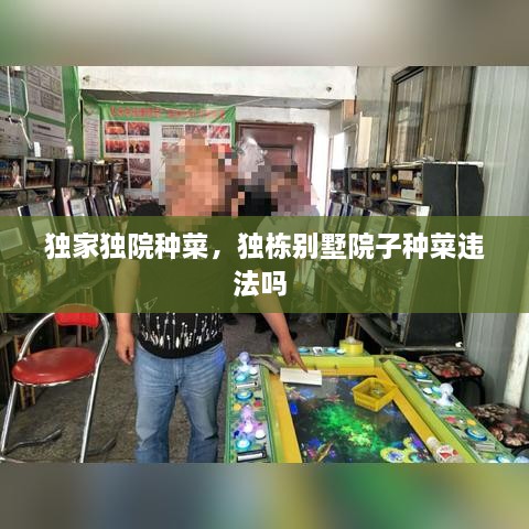 獨(dú)家獨(dú)院種菜，獨(dú)棟別墅院子種菜違法嗎 