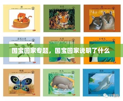 國寶回家專題，國寶回家說明了什么 
