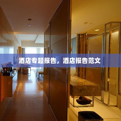 酒店專題報(bào)告，酒店報(bào)告范文 