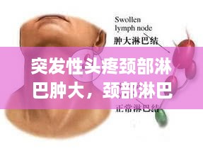 2025年1月 第292頁