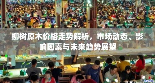 柳樹原木價格走勢解析，市場動態(tài)、影響因素與未來趨勢展望