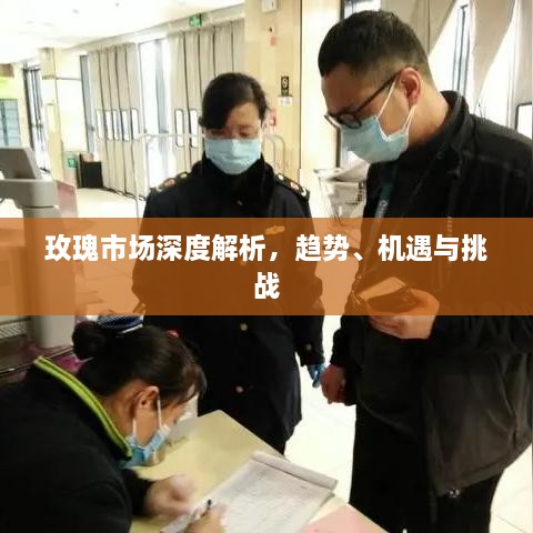 玫瑰市場深度解析，趨勢、機(jī)遇與挑戰(zhàn)