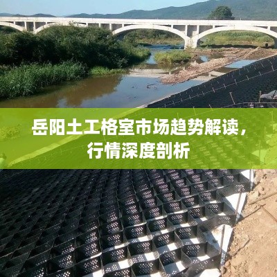 岳陽(yáng)土工格室市場(chǎng)趨勢(shì)解讀，行情深度剖析