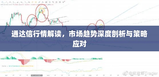 通達(dá)信行情解讀，市場(chǎng)趨勢(shì)深度剖析與策略應(yīng)對(duì)
