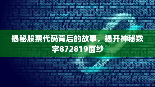 揭秘股票代碼背后的故事，揭開神秘?cái)?shù)字872819面紗