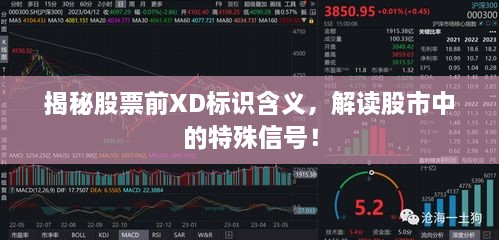 揭秘股票前XD標(biāo)識(shí)含義，解讀股市中的特殊信號(hào)！