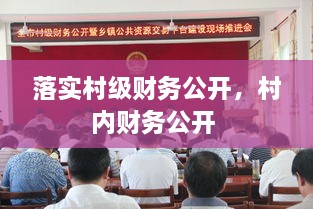 落實(shí)村級財務(wù)公開，村內(nèi)財務(wù)公開 