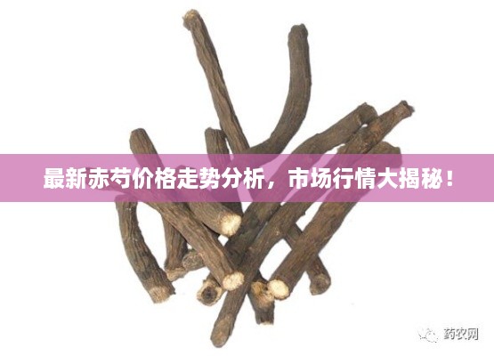 最新赤芍價格走勢分析，市場行情大揭秘！
