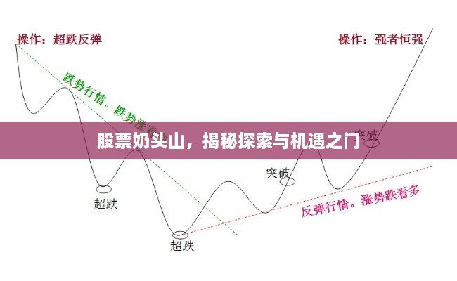 股票奶頭山，揭秘探索與機(jī)遇之門