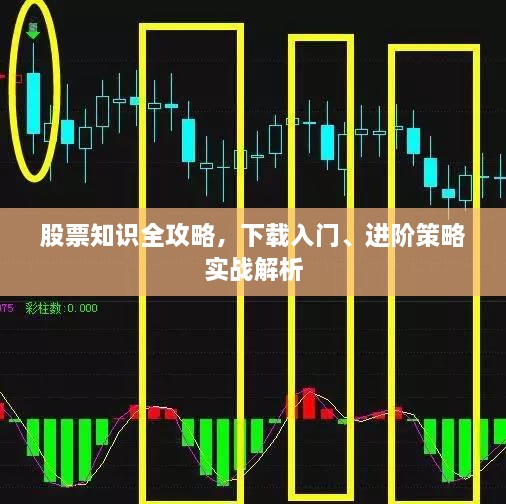 股票知識全攻略，下載入門、進階策略實戰(zhàn)解析