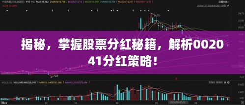 揭秘，掌握股票分紅秘籍，解析002041分紅策略！