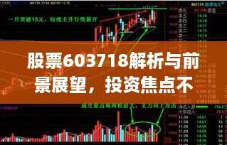 股票603718解析與前景展望，投資焦點不容錯過