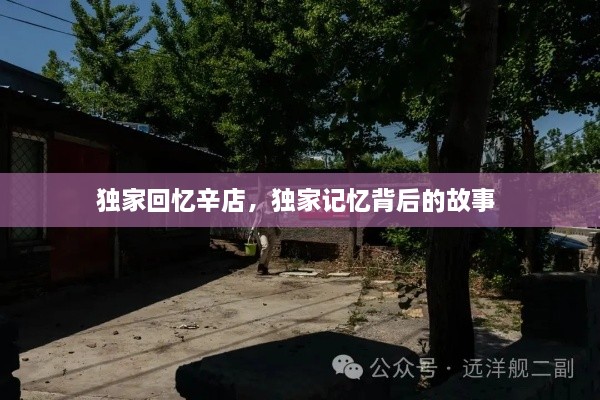 獨(dú)家回憶辛店，獨(dú)家記憶背后的故事 