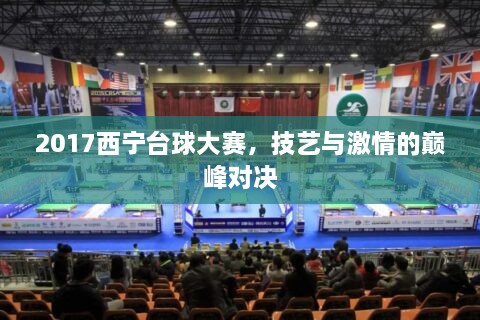 2017西寧臺(tái)球大賽，技藝與激情的巔峰對(duì)決