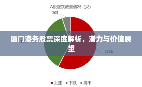廈門港務股票深度解析，潛力與價值展望