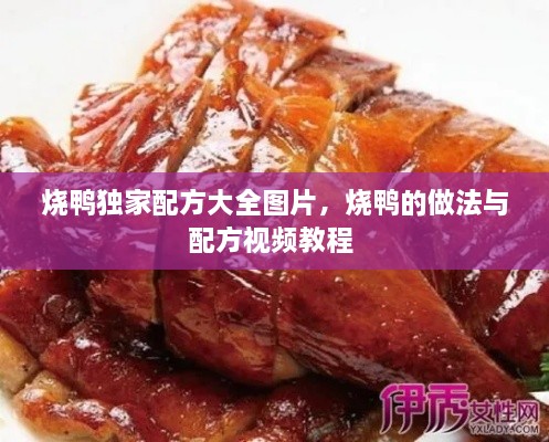 燒鴨獨(dú)家配方大全圖片，燒鴨的做法與配方視頻教程 