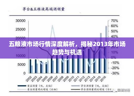 五糧液市場行情深度解析，揭秘2013年市場趨勢與機(jī)遇