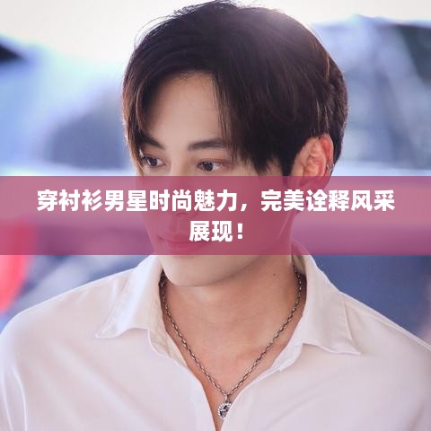 穿襯衫男星時(shí)尚魅力，完美詮釋風(fēng)采展現(xiàn)！