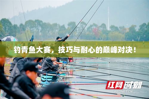 釣青魚大賽，技巧與耐心的巔峰對(duì)決！