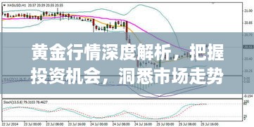 黃金行情深度解析，把握投資機(jī)會(huì)，洞悉市場(chǎng)走勢(shì)