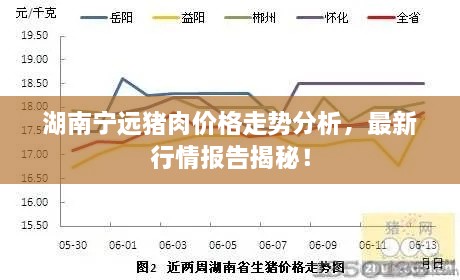 勤勤懇懇 第2頁(yè)