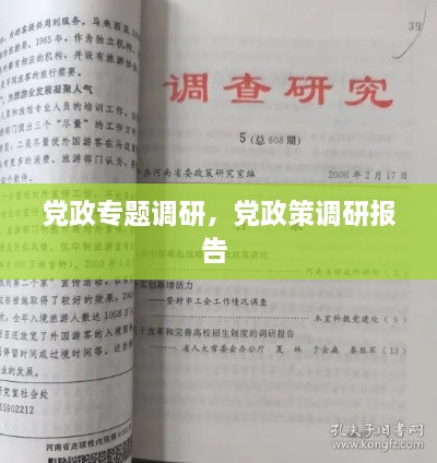 黨政專題調(diào)研，黨政策調(diào)研報告 