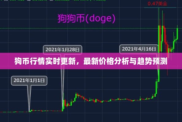 狗幣行情實時更新，最新價格分析與趨勢預測