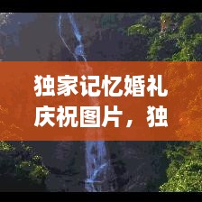獨家記憶婚禮慶祝圖片，獨家記憶圖片唯美 