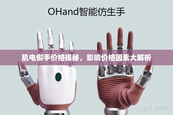 肌電假手價格揭秘，影響價格因素大解析