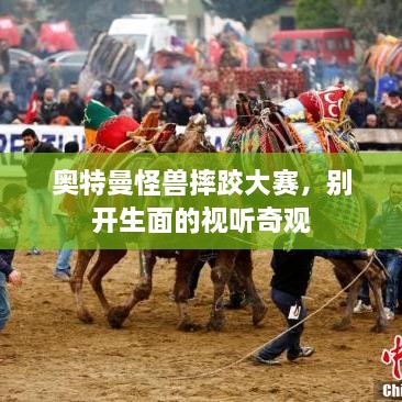 奧特曼怪獸摔跤大賽，別開(kāi)生面的視聽(tīng)奇觀