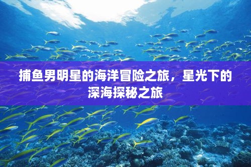捕魚(yú)男明星的海洋冒險(xiǎn)之旅，星光下的深海探秘之旅