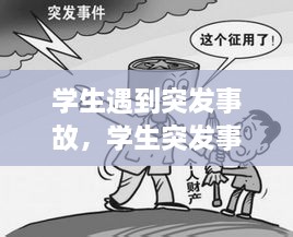 學(xué)生遇到突發(fā)事故，學(xué)生突發(fā)事件的處理原則 