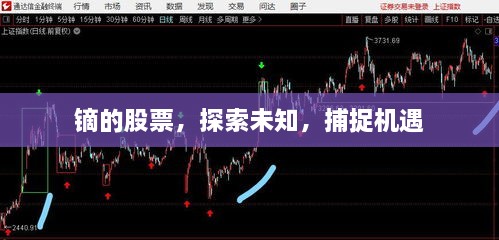 鏑的股票，探索未知，捕捉機(jī)遇