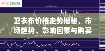 衛(wèi)衣布價格走勢揭秘，市場趨勢、影響因素與購買指南
