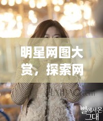 明星網(wǎng)圖大賞，探索網(wǎng)絡(luò)上的閃耀星辰之美